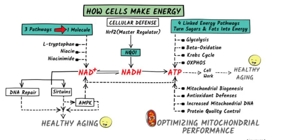 NAD NM