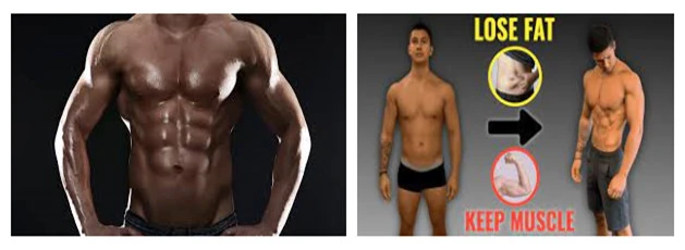 gain muscle