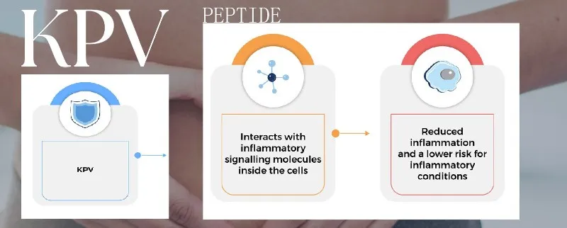 What Are The Benefits Of KPV What Are The Benefits Of KPV