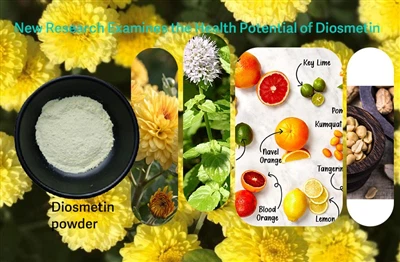 Els investigadors examinen el paper potencial de la Diosmetina en la lluita c...