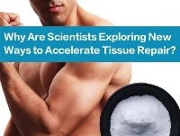 Per què els científics estan explorant noves maneres d'accelerar la reparació...