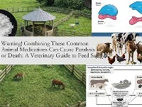 Avís! La combinació d'aquests medicaments comuns per a animals pot causar par...
