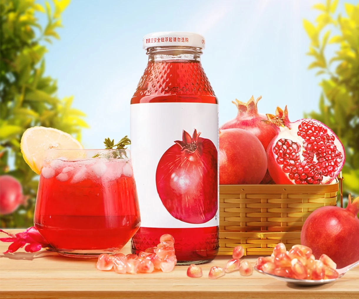 Pomegranate Fruit Powder-1